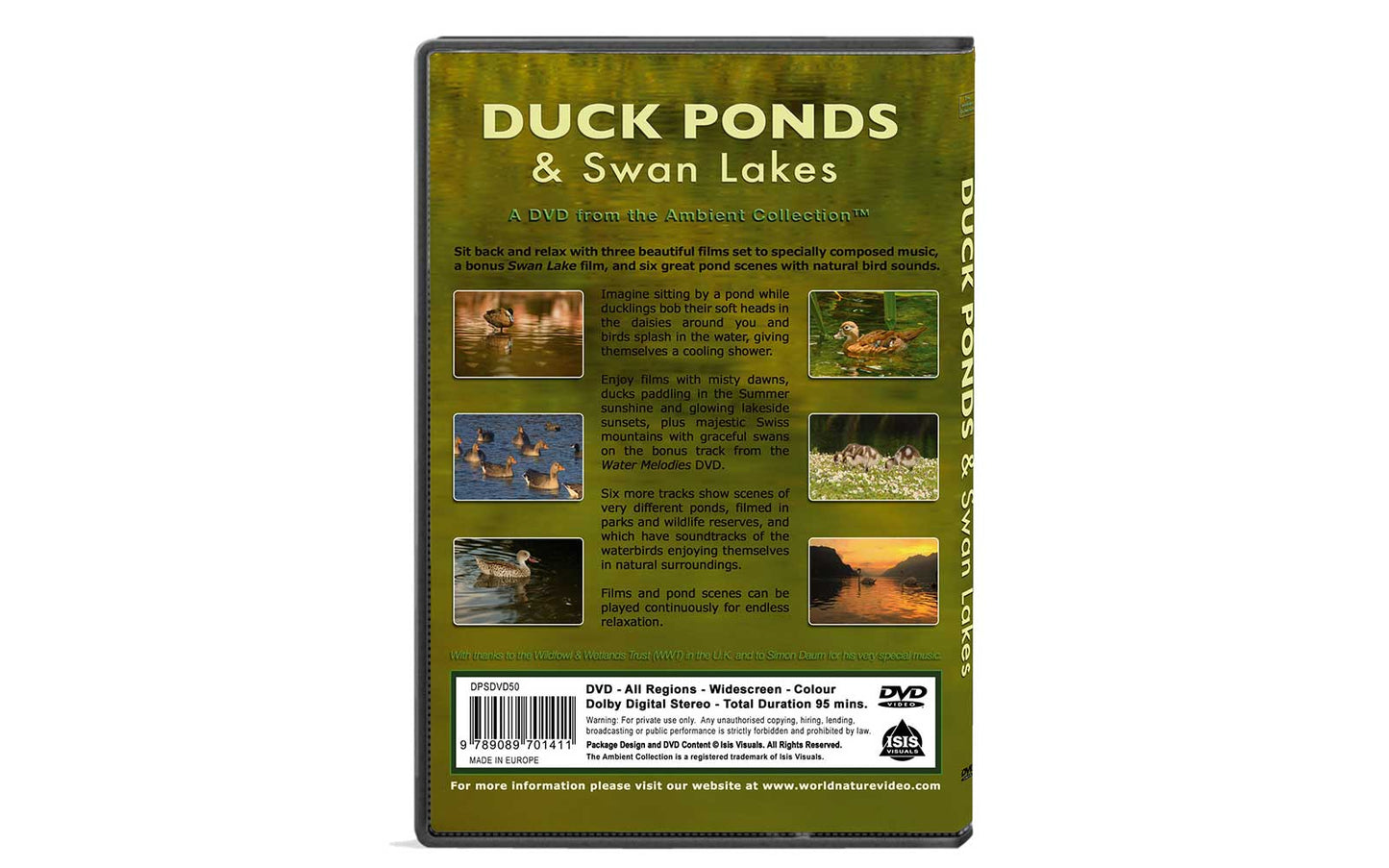 Duck Ponds & Swan Lakes