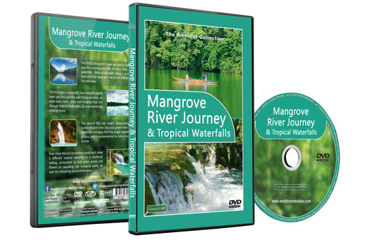 Mangrove River Journey & Tropical Waterfalls