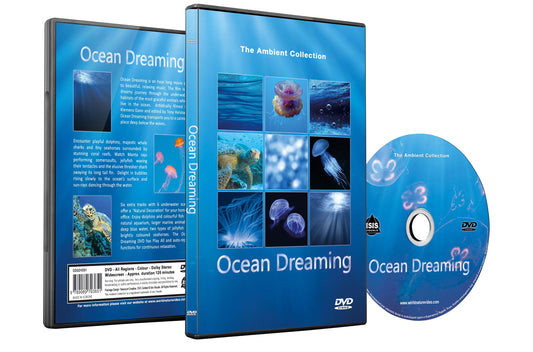 Ocean Dreaming