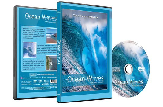 Ocean Waves with Sounds of the Sea