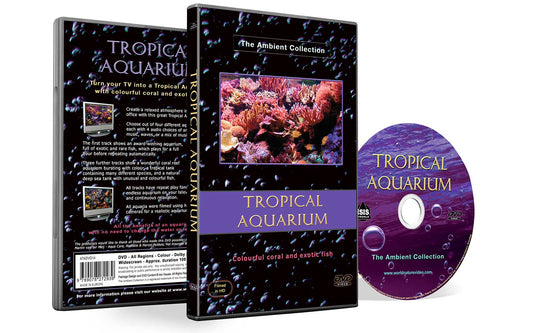Tropical Aquarium 2010