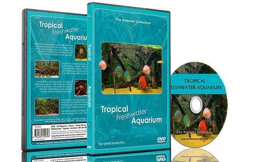 Tropical Freshwater Aquarium