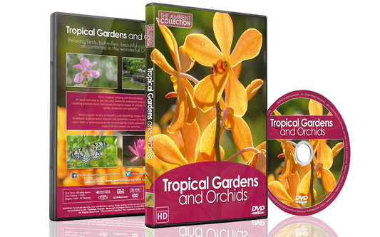 Tropical Garden and Orchids
