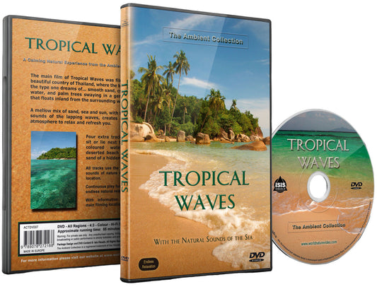 Tropical Waves